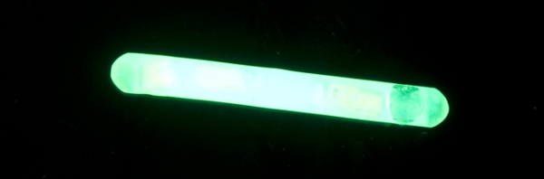 Starleti Night Wasp